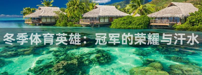 中欧体育网页登录：冬季体育英雄：冠军的荣耀与汗水