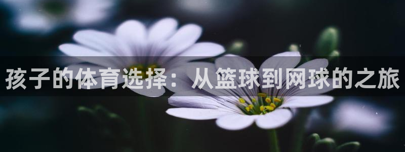 中欧体育网站：孩子的体育选择：从篮球到网球的之旅