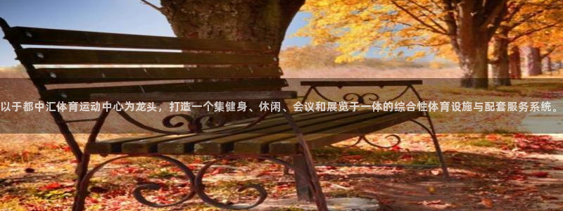 中欧体育李勇鸿：以于都中汇体育运动中心为龙头，打造一个集健身、休闲、会议和展览于一体的综合性体育设施与配套服务系统。