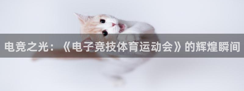 中欧体育ios：电竞之光：《电子竞技体育运动会》的辉煌瞬间
