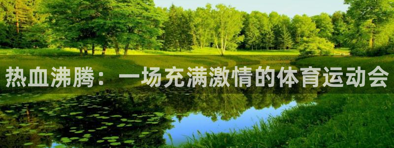 中欧体育：热血沸腾：一场充满激情的体育运动会